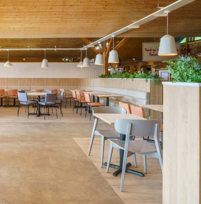 Inside the new cafe at Batsford Arboretum: timber-lined ceiling and full-height glazing to the arboretum